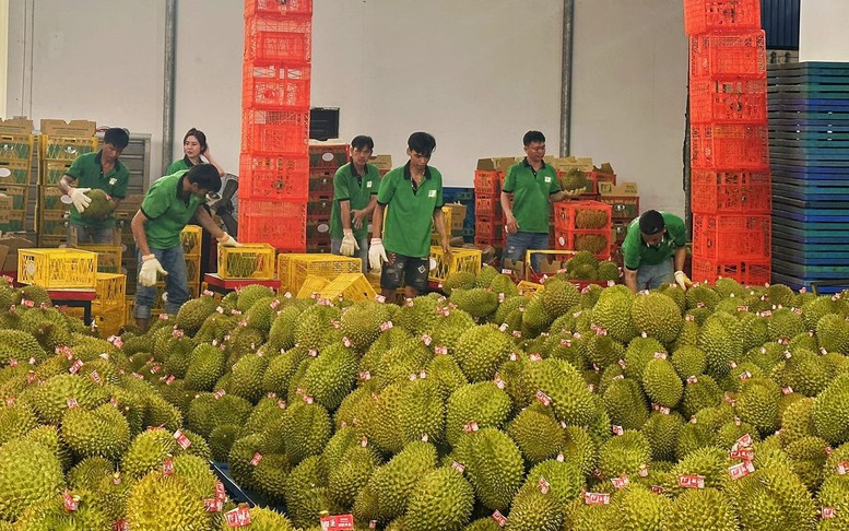 Thúc đẩy xuất khẩu nông sản sang Trung Quốc thông qua các Nghị định thư