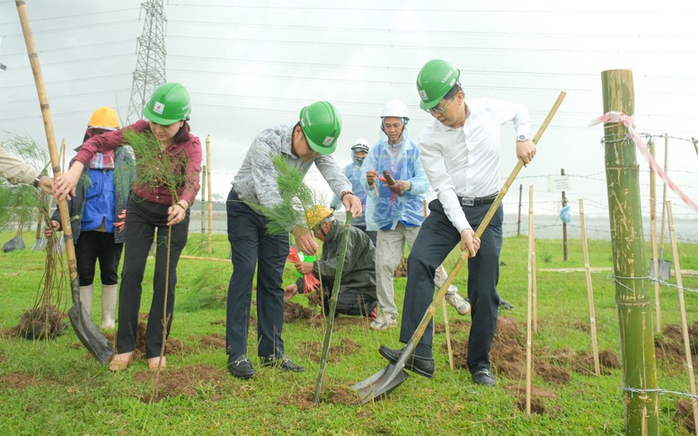 Petrovietnam: Trồng cây xanh là giải pháp quan trọng trong chuyển dịch năng lượng