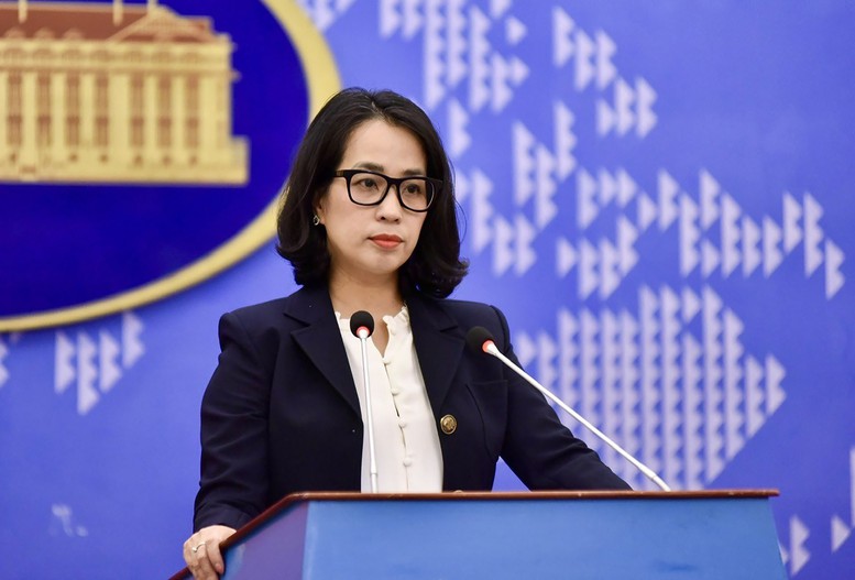 Yêu cầu Trung Quốc chấm dứt hoạt động khảo sát trái phép trong vùng biển của Việt Nam- Ảnh 1.