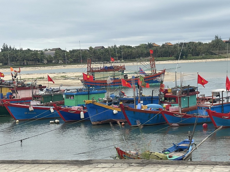 Miền Trung sẵn sàng ứng phó áp thấp nhiệt đới- Ảnh 2.