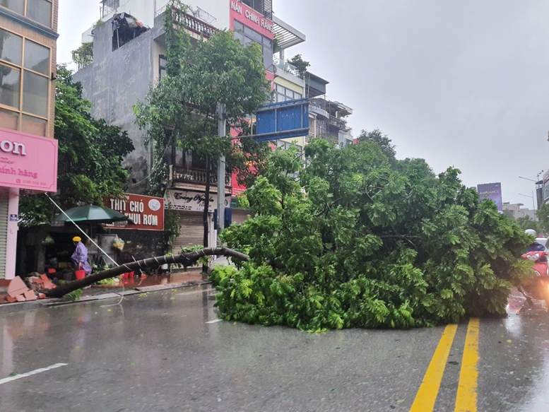 Bão số 2 suy yếu thành ấp thấp nhiệt đới trên vùng ven biển Quảng Ninh-Hải Phòng- Ảnh 4.