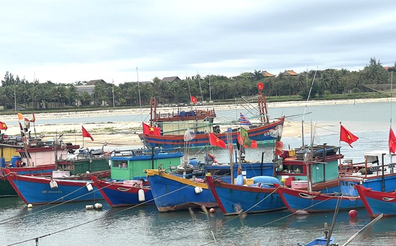 Chống khai thác IUU: Quảng Bình cần sớm giải quyết các tàu cá "3 không"- Ảnh 3.