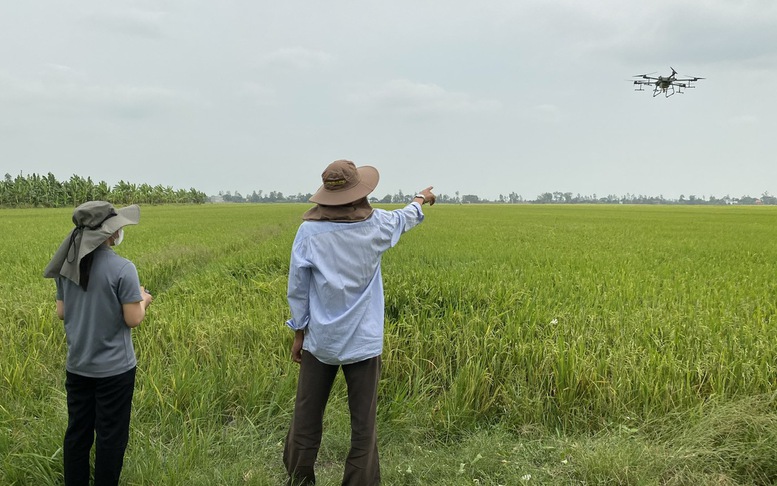 Để phát triển bền vững ngành lúa gạo từ Đề án 1 triệu ha lúa chất lượng cao