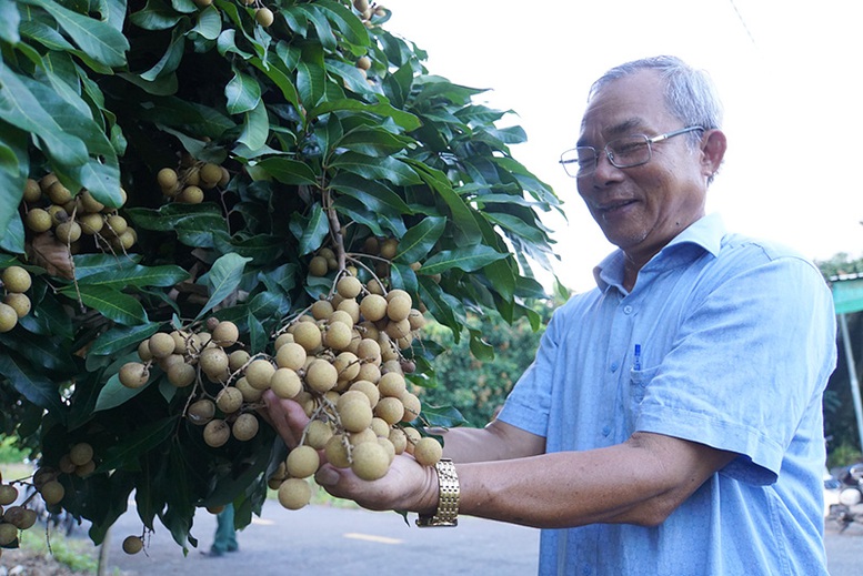 Công nhận huyện Châu Thành (Đồng Tháp) đạt chuẩn nông thôn mới- Ảnh 1.