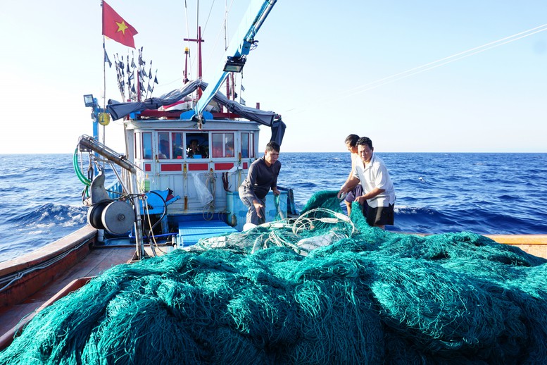Khánh Hòa: Chuyển biến tích cực trong chống khai thác IUU- Ảnh 1.