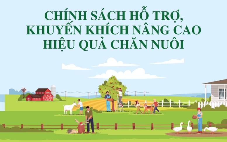 Infographics: Chính sách hỗ trợ, khuyến khích nâng cao hiệu quả chăn nuôi