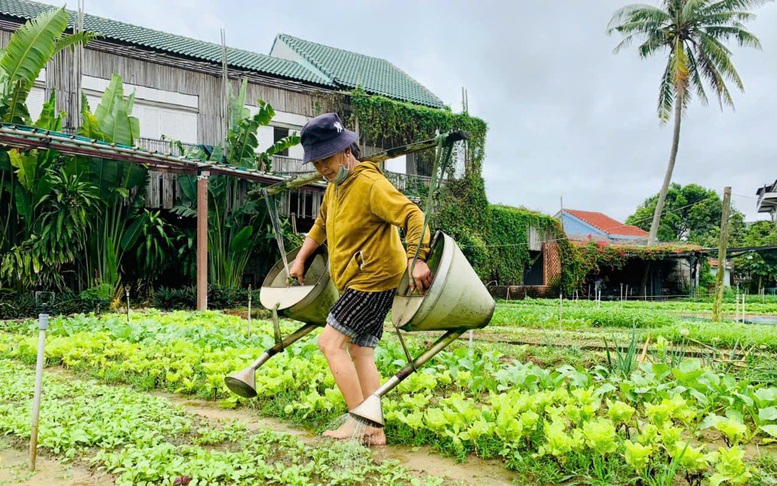 Quảng Nam có 25 doanh nghiệp đạt chứng nhận du lịch xanh