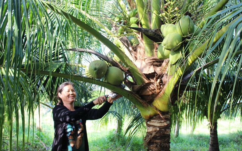 Thương mại nông sản Việt Nam – Trung Quốc nhiều cơ hội mở rộng