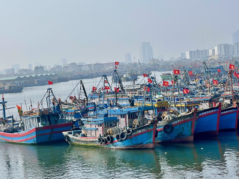 Chống khai thác IUU: Hỗ trợ ngư dân hoàn thiện hồ sơ tàu cá- Ảnh 1.