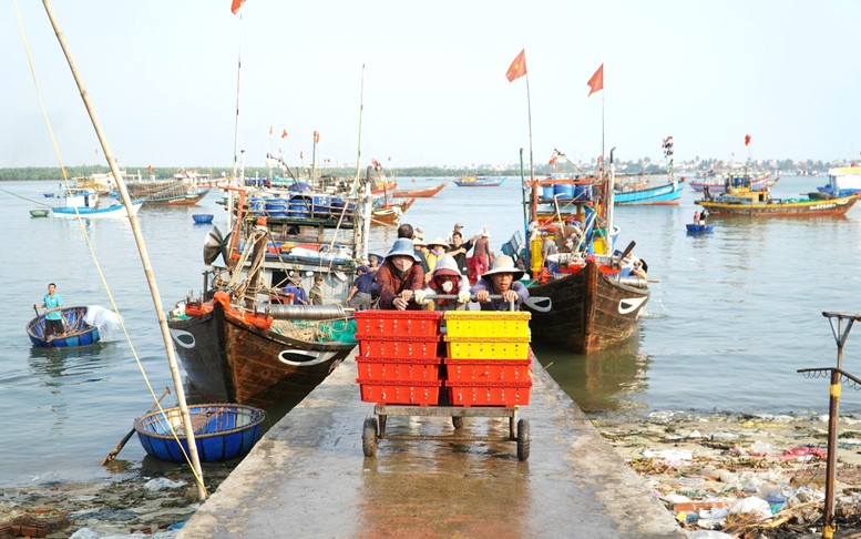 Quảng Nam giám sát chặt chẽ tàu cá '3 không'