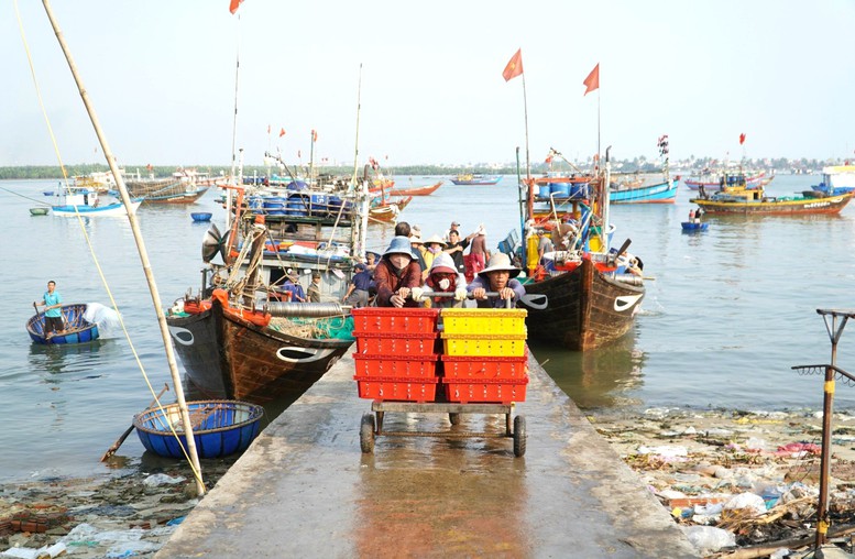 Quảng Nam giám sát chặt chẽ tàu cá '3 không'- Ảnh 2.