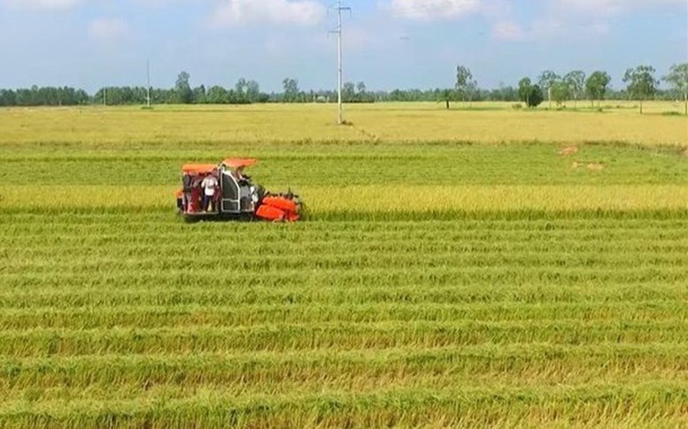 Thủ tục xác nhận tiếp tục sử dụng đất nông nghiệp khi hết hạn