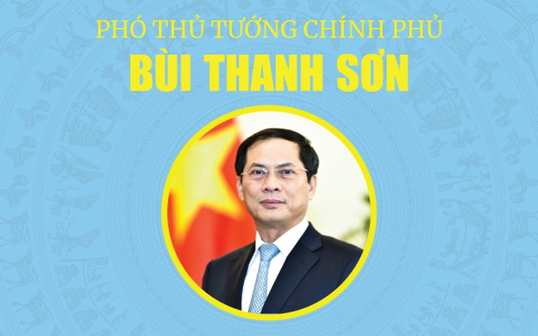 Bộ trưởng Bộ Ngoại giao Bùi Thanh Sơn được phê chuẩn bổ nhiệm giữ chức Phó Thủ tướng Chính phủ- Ảnh 1.