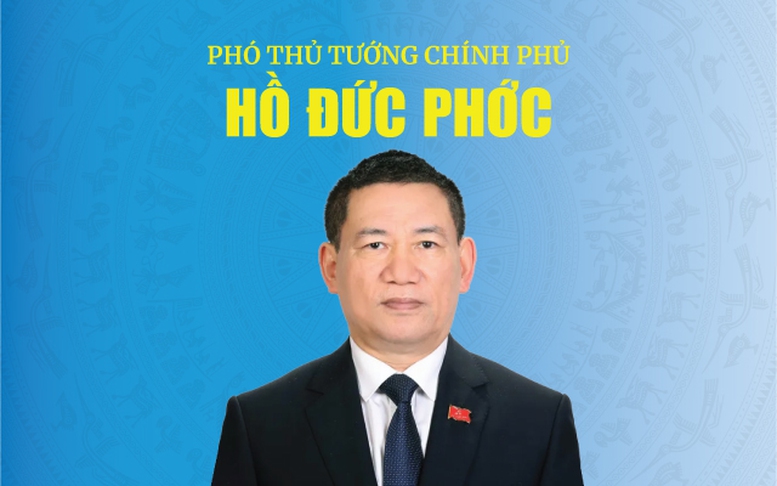 INFOGRAPHICS: Tóm tắt tiểu sử Tân Phó Thủ tướng Chính phủ Hồ Đức Phớc