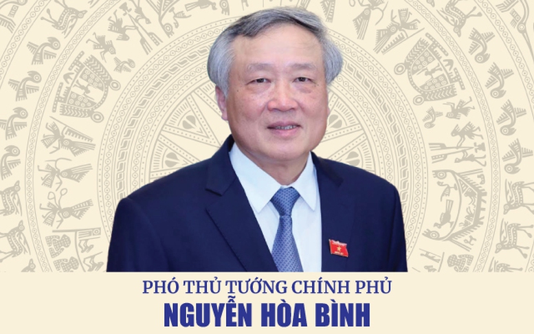 INFOGRAPHICS: Tóm tắt tiểu sử Tân Phó Thủ tướng Chính phủ Nguyễn Hoà Bình