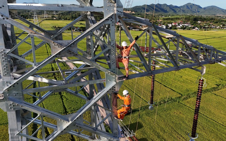 Những cái nhất làm nên 'kỳ tích' của dự án đường dây 500kV mạch 3 Quảng Trạch – Phố Nối