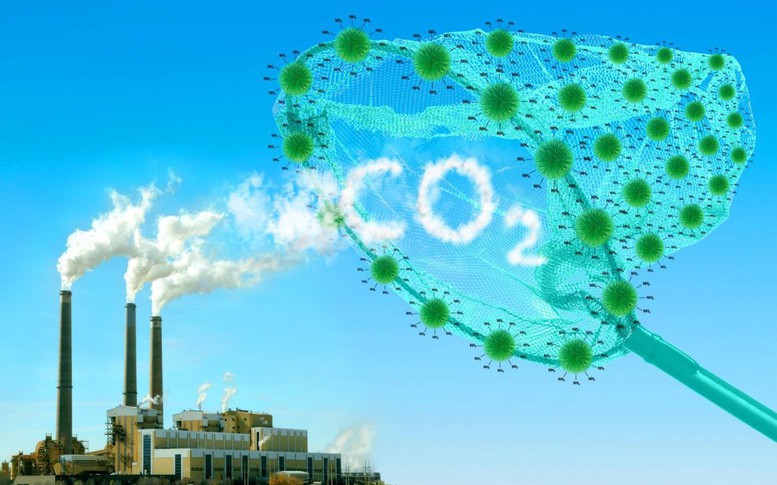 Bộ NN&PTNT thông tin về gần 6 triệu tấn CO2 tại Bắc Trung Bộ