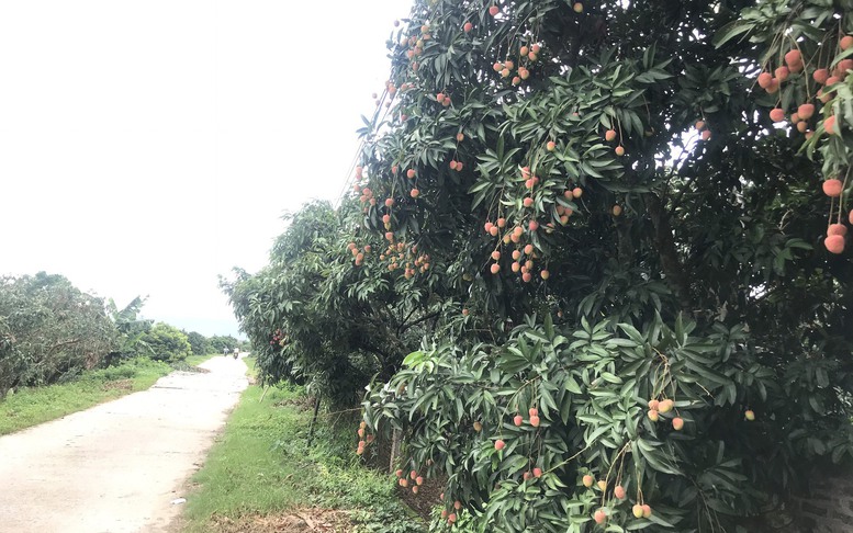 Xây dựng nông thôn mới là kết quả đồng lòng từ nhân dân đến chính quyền các cấp