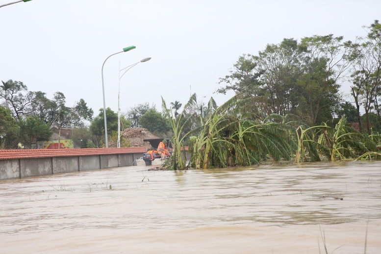 Phó Thủ tướng Thường trực Nguyễn Hòa Bình thăm hỏi, tặng quà; hỗ trợ 20 tấn gạo cho người dân vùng lũ Hưng Yên- Ảnh 5.