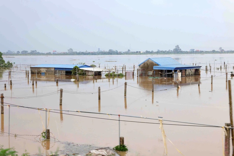 Phó Thủ tướng Trần Hồng Hà kiểm tra công tác khắc phục hậu quả sau bão số 3 tại tỉnh Nam Định- Ảnh 6.