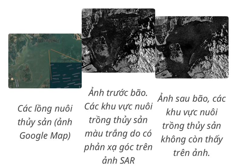 Các khu vực nuôi trồng thủy sản bị tàn phá do bão Yagi khu vực phía bắc đảo Cát Bà