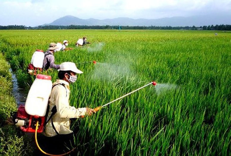 Đề xuất Danh mục thuốc bảo vệ thực vật được phép sử dụng tại Việt Nam- Ảnh 1.