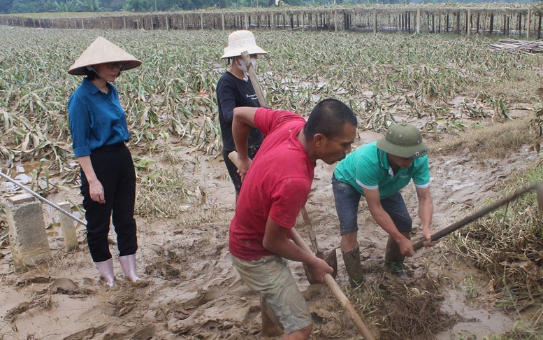 Chính phủ ban hành 6 nhóm nhiệm vụ, giải pháp trọng tâm khắc phục hậu quả bão số 3, đẩy mạnh khôi phục sản xuất kinh doanh