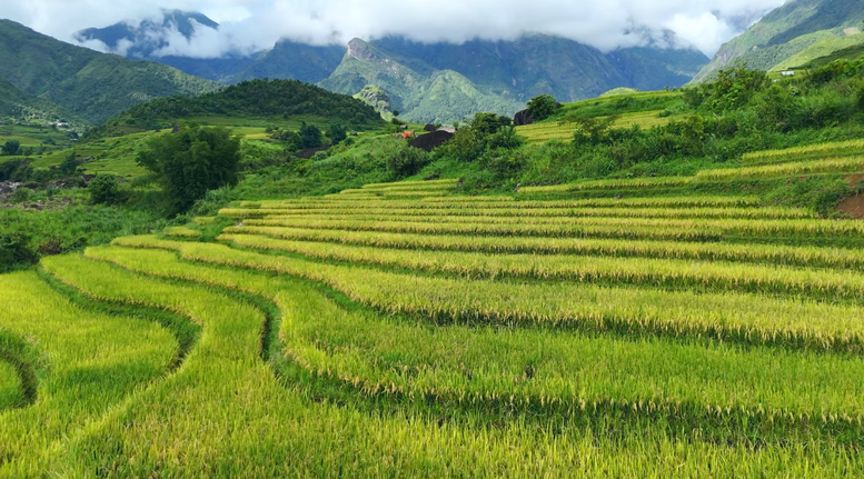 Du lịch Lai Châu khởi sắc- Ảnh 1.