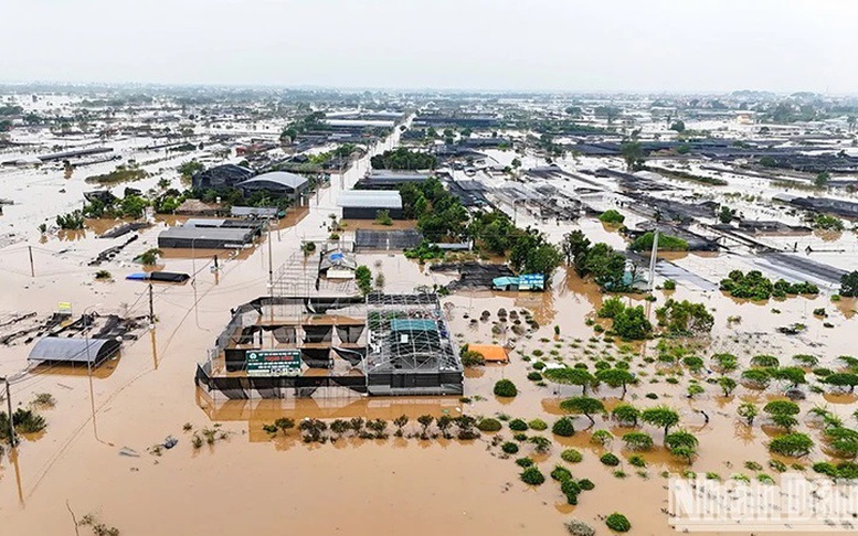 Việt Nam trân trọng sự đoàn kết, thăm hỏi kịp thời của cộng đồng quốc tế