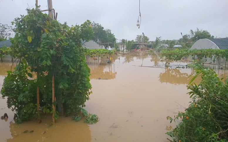 Lãnh đạo các nước gửi thư, điện, thông điệp thăm hỏi, chia sẻ với Việt Nam về ảnh hưởng của cơn bão số 3