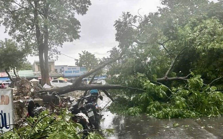 Quảng Bình: Học sinh nghỉ học từ chiều 19/9, khẩn trương ứng phó bão số 4