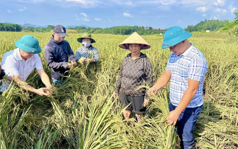 Tuyên Quang: Dồn lực khắc phục thiệt hại và giúp người dân sớm ổn định đời sống sau cơn bão số 3