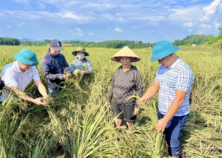 Tuyên Quang: Dồn lực khắc phục thiệt hại và giúp người dân sớm ổn định đời sống sau cơn bão số 3- Ảnh 1.