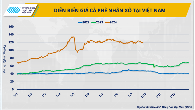 Hướng đi giúp cà phê Việt vững bước trên 'hành trình giá’ mới- Ảnh 1.