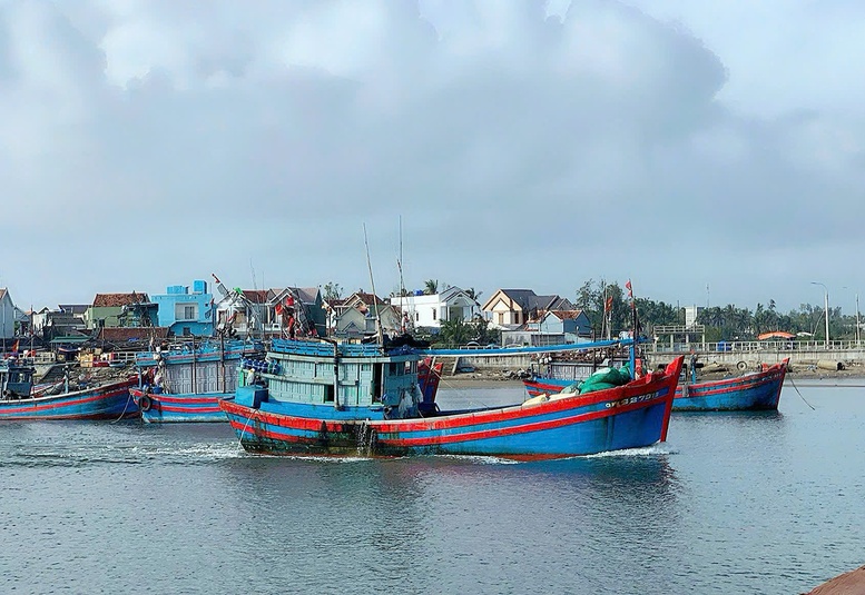 Quảng Ngãi: Nhiều chuyển biến tích cực trong chống khai thác IUU- Ảnh 1.