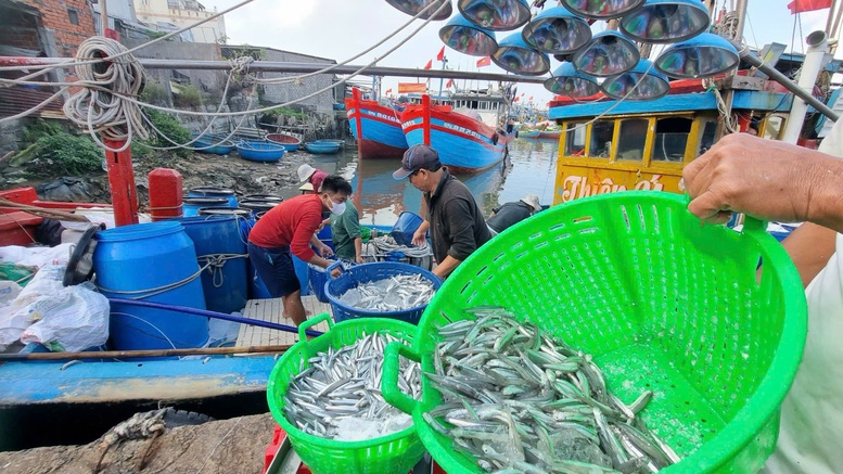 Quảng Ngãi: Nhiều chuyển biến tích cực trong chống khai thác IUU- Ảnh 3.