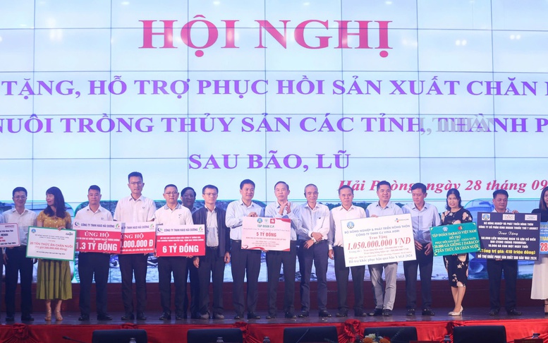 Phục hồi sinh kế cho người dân sau bão lũ