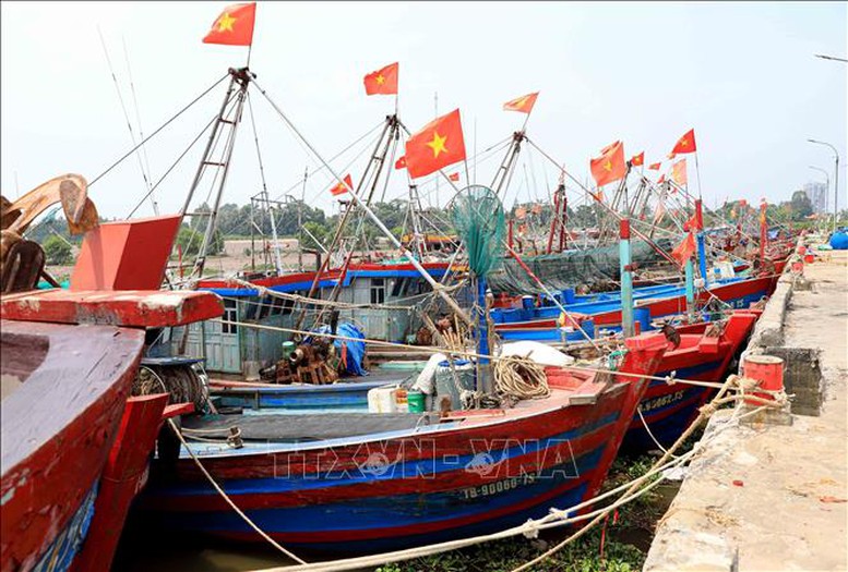 Các địa phương tập trung cao cho công tác ứng phó với bão số 3- Ảnh 3.