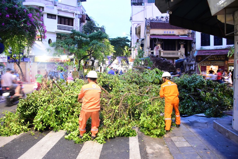 EVNHANOI ứng phó bão Yagi- Ảnh 2.