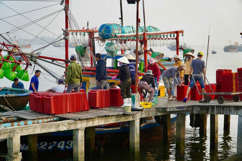 Quảng Nam quyết tâm hoàn thành việc đăng ký, cấp phép tàu cá- Ảnh 1.