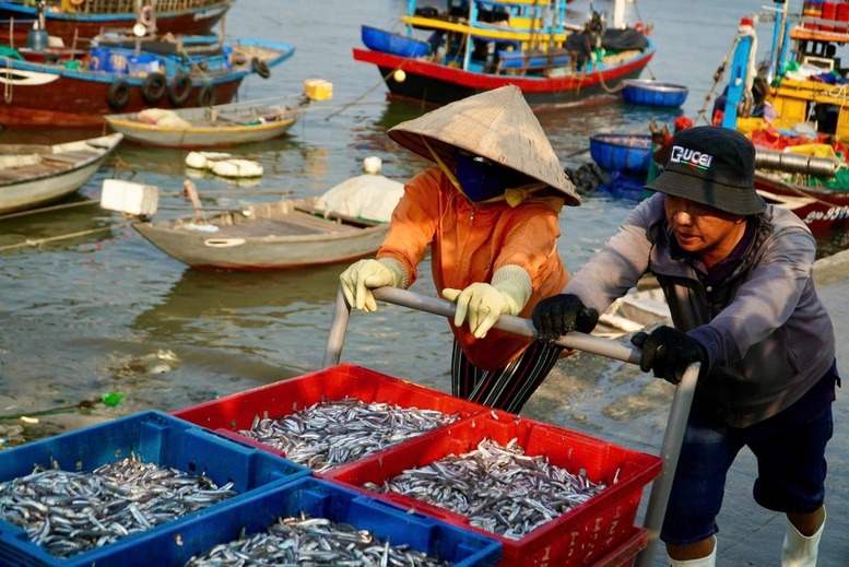 Quảng Nam quyết tâm hoàn thành việc đăng ký, cấp phép tàu cá- Ảnh 2.