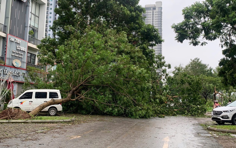 Các điểm phục vụ của bưu điện hoạt động trở lại sau bão Yagi