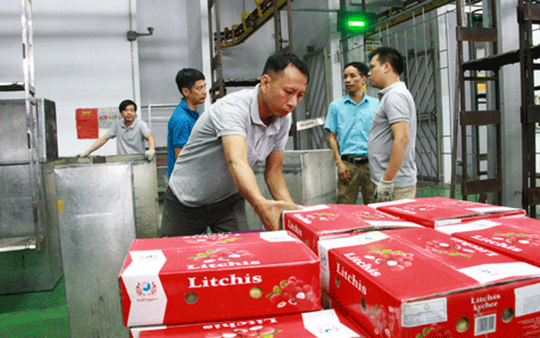 Gỡ khó cho chiếu xạ kiểm dịch hoa quả xuất khẩu