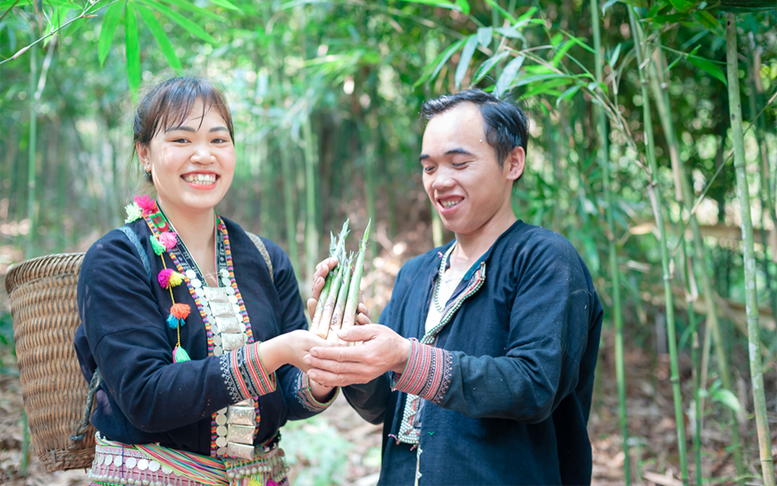 Hỗ trợ chuyển đổi số cho doanh nghiệp nhỏ và vừa tỉnh Lào Cai, Sơn La