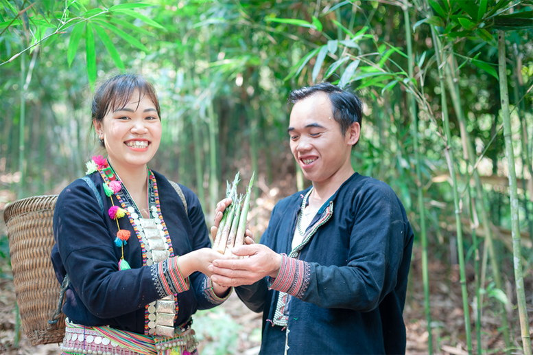 Hỗ trợ chuyển đổi số cho doanh nghiệp nhỏ và vừa tỉnh Lào Cai, Sơn La- Ảnh 1.