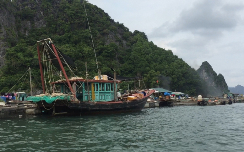 Ngân hàng triển khai các giải pháp để hỗ trợ khách hàng khắc phục hậu quả bão Yagi