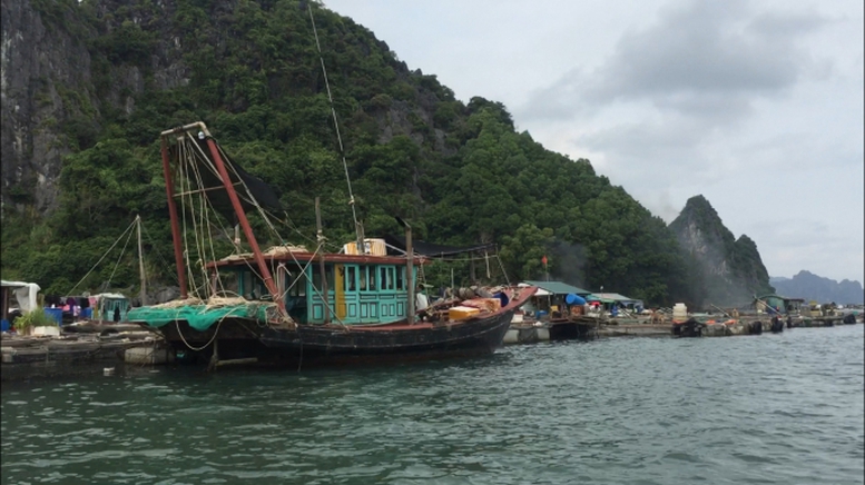 Ngân hàng triển khai các giải pháp để hỗ trợ khách hàng khắc phục hậu quả bão Yagi- Ảnh 1.