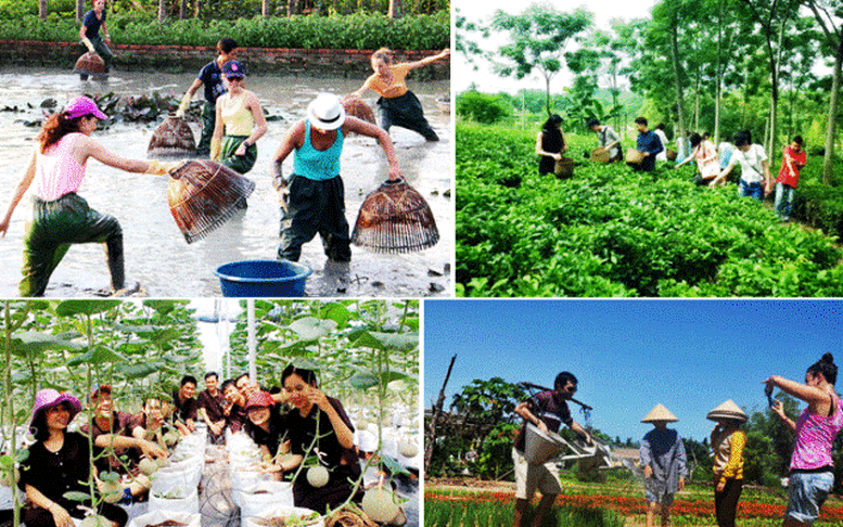 Văn minh lúa nước, điểm tựa phát triển du lịch nông nghiệp bền vững