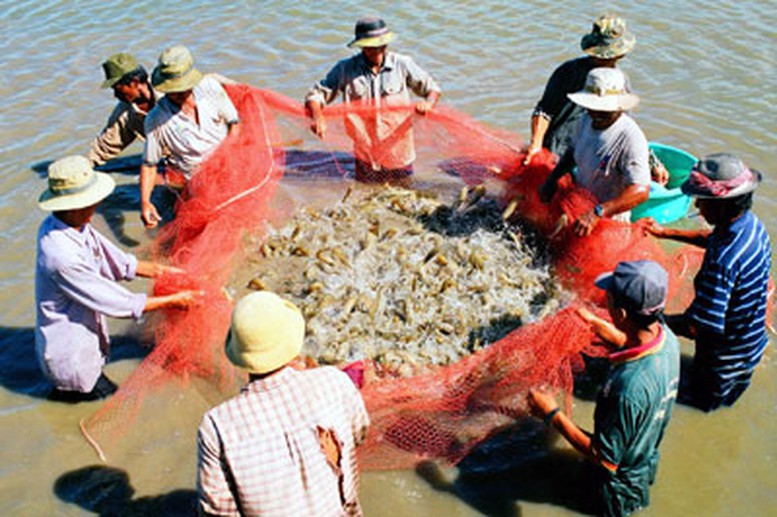 Bảo hiểm ABIC đồng hành cùng nhà nông- Ảnh 1.