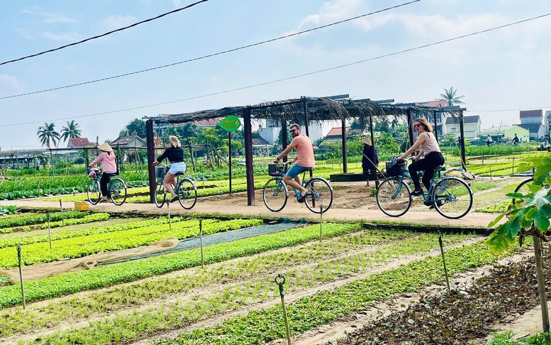 Làng nông nghiệp 'hút' khách quốc tế